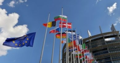 L’Europe des adhésions et stratégies économiques L’Europe des adhésions et stratégies économiques